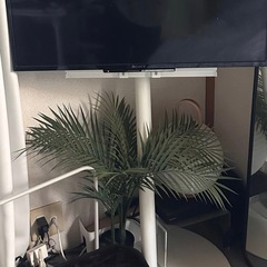 EQUALS アナタイロ　　テレビスタンドの画像