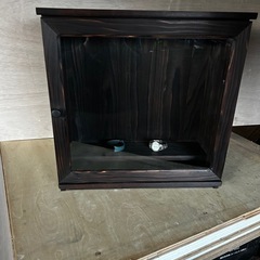 照明が届き完成です。