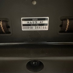 電動バウンサーの画像