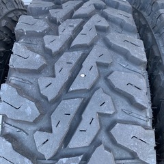 ヨコハマジオランダーMTの画像