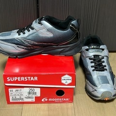 運動靴　25.0cm  　スーパースター　ムーンスター　の画像