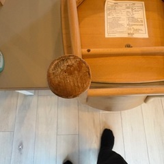 「無印良品 ブナ材 ラウンドチェア ダイニングチェアの画像