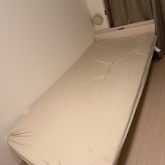 シングルベッド　アイリスオーヤマの画像