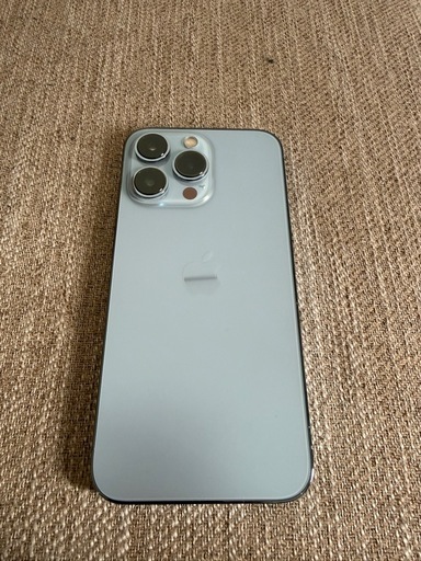 iPhone 13  Pro            