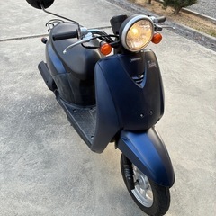 🛵AF61   ホンダトゥデイ の画像