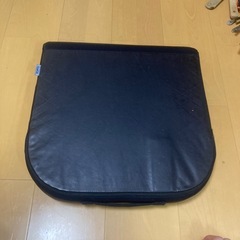 テンピュール　クッションの画像