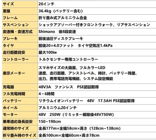 20インチ ファットバイク 折りたたみ電動自転車 800W