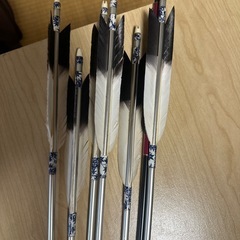 弓道弓と矢
の画像