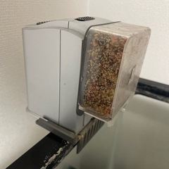 90センチ水槽の画像