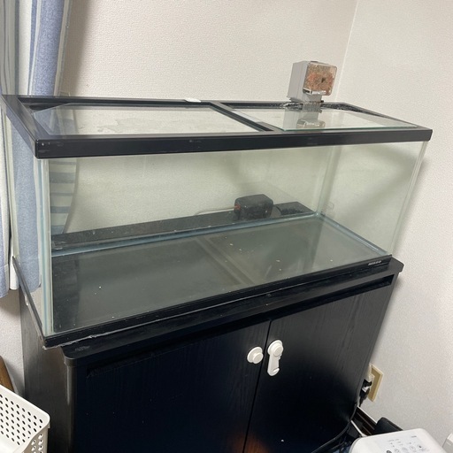 90センチ水槽
