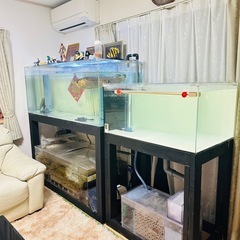 900x600x450(水槽)の画像