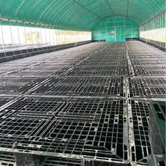 畑貸し 【能勢町下田尻】農業スタートにぴったりなビニールハウス貸出中の画像