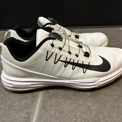 ゴルフシューズの画像