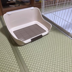 犬　　猫　　ケージ　トイレ
の画像