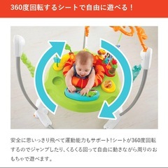 ジャンパルー2 フィッシャープライス レインフォレスト ベビートイの画像