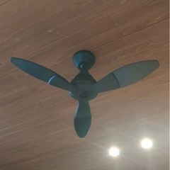 シーリングファン の画像