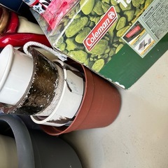 全てセット　　鉢の画像