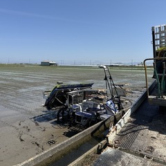 令和7年産  コシヒカリ30kgの画像