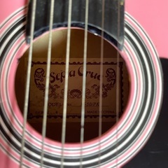 決まりましたSepia Crue  ミニギターの画像