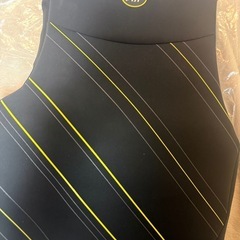 ジェットパイロットJETPLTサイズLウエットベストサーフィンの画像