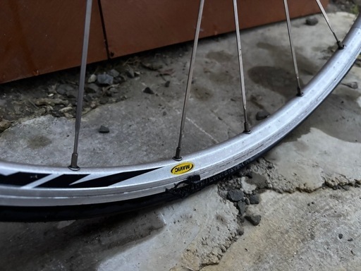 COLNAGO アルテ Alte 105 mix 55サイズ