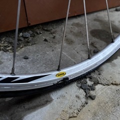 COLNAGO アルテ Alte 105 mix 55サイズの画像