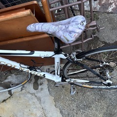 COLNAGO アルテ Alte 105 mix 55サイズの画像