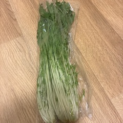 新鮮 野菜 セットの画像