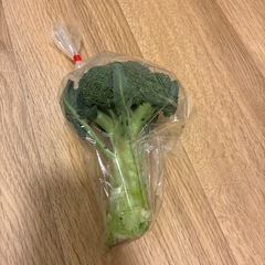 新鮮 野菜 セットの画像