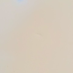 【ジ0201-02】滅多に入荷しない冷凍庫‼️表面にキズありにより格安価格‼️SHARP 86L 2020年製の画像