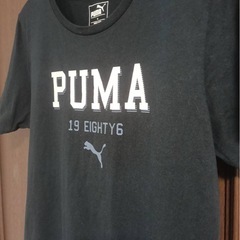 フィットネスウェア XLサイズ（PUMA）の画像