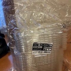 お弁当箱の透明蓋　　　　　　　　の画像