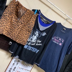 まとめて6点の画像