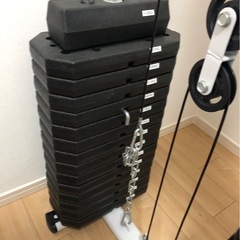 IROTEC アイロテック 筋トレ マルチホームジム DX150ポンドタイプV2の画像