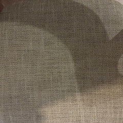 2脚セット　椅子　チェア　ダイニングチェア　ベージュの画像