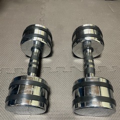 ファイティングロード　　クロームダンベル１０kgの画像