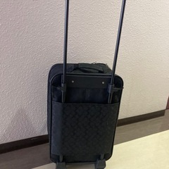 キャリーバックの画像