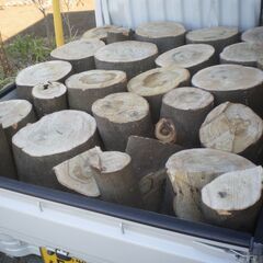 【玉切薪☆大変お得☆重い硬い広葉樹☆約300kg以上】 ★0201の画像