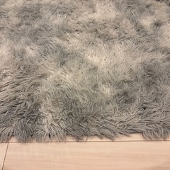 カーペットの画像