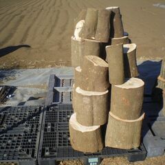 【玉切薪☆大変お得☆重い硬い広葉樹☆約300kg以上】 ★0201の画像