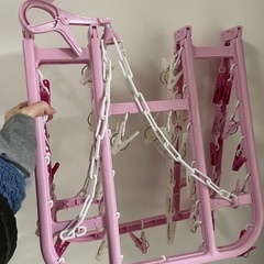 ピンチハンガーの画像