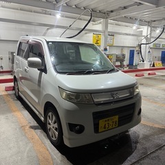 スティングレー　格安‼️の画像