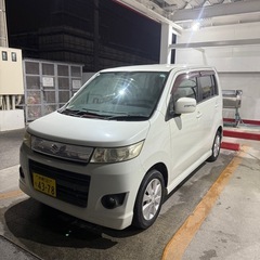 スティングレー　格安‼️の画像