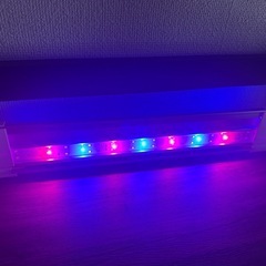 ニッソー　NISSO 45cm用　LEDライト 淡水の画像