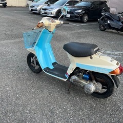 格安原付バイク👀他在庫多数飛込見学大歓迎の画像