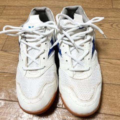 ムーンスター 体育館シューズ 室内履き 上履き 中学高校 26.5㎝の画像