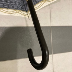 傘　ロベルタの画像