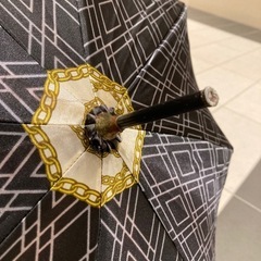 傘　ロベルタの画像