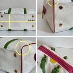 エトロ ハンドバッグ ミニ ボストン イタリア ゴールド金具 かわいい オシャレの画像