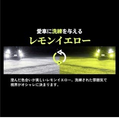 HID屋　HB4 レモンイエロー&ホワイト2色切り替えバルブの画像
